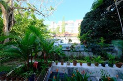 Sandy Palm (D17), Condominium #238619201